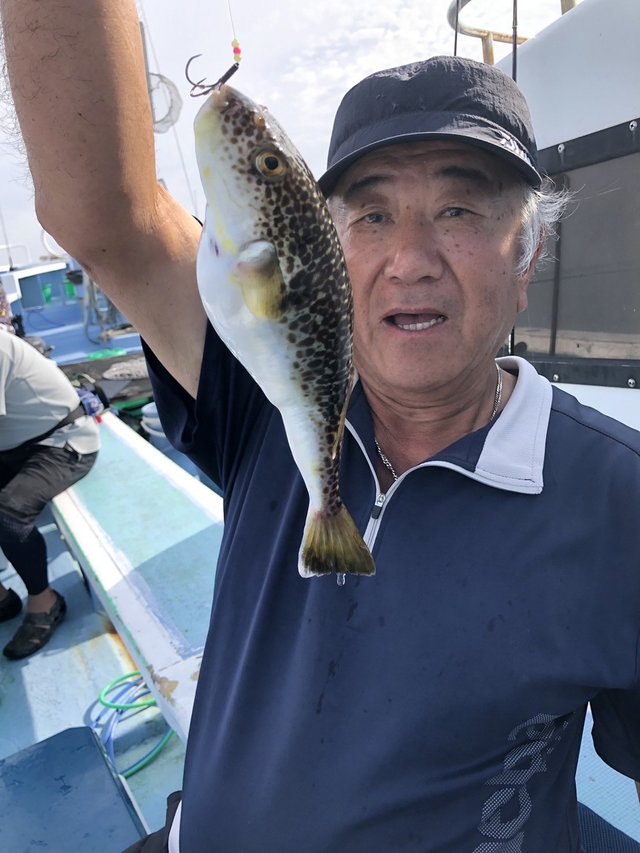 ショウサイフグ
