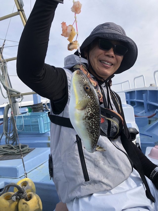 ショウサイフグ