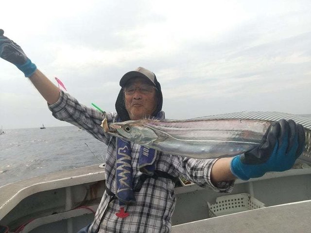 タチウオ