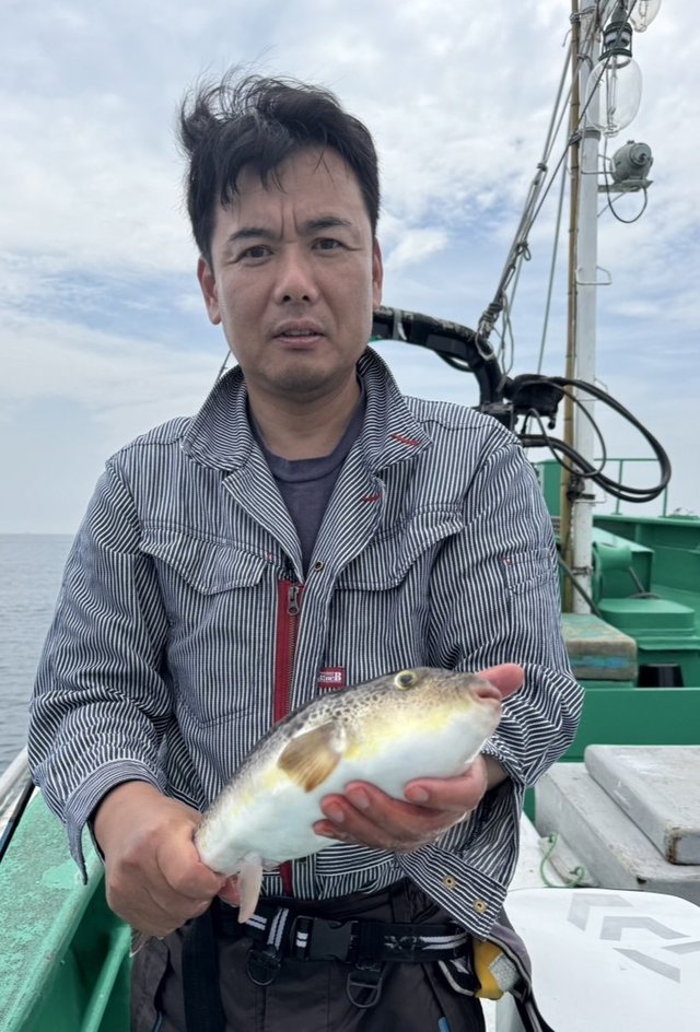 ショウサイフグ