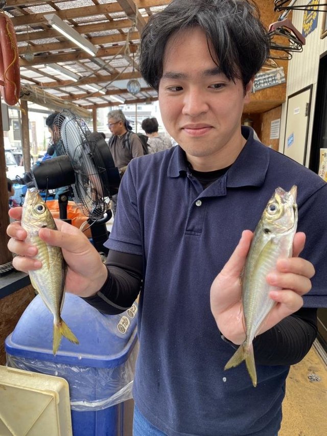 アジ(マアジ)
