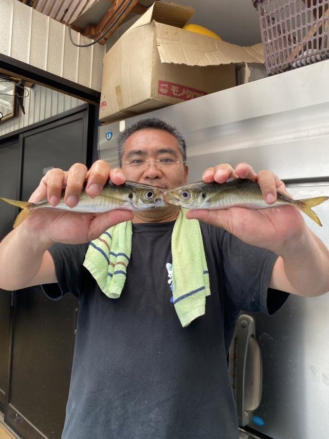 アジ(マアジ)