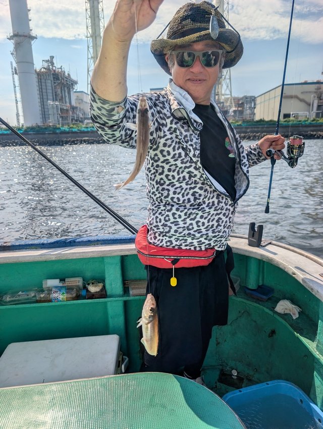 シロギス