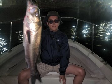 シーバス(スズキ)
