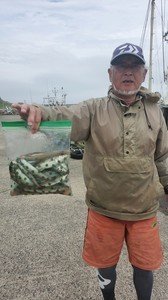 シロギス