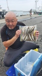 シロギス