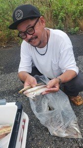シロギス