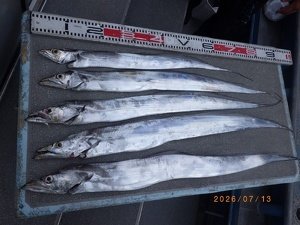 タチウオ