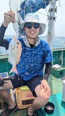 マダイ