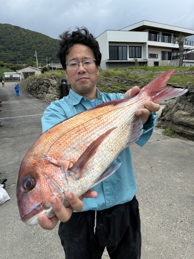 マダイ