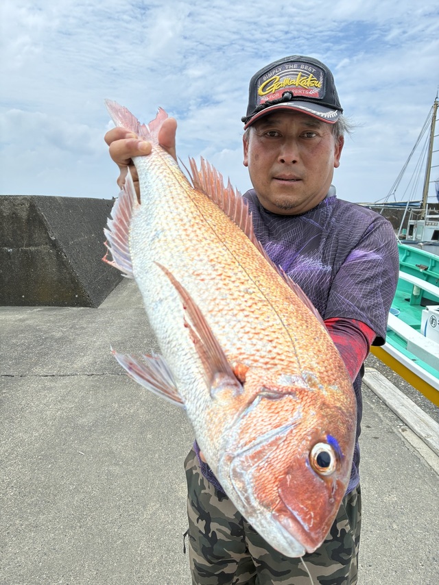マダイ