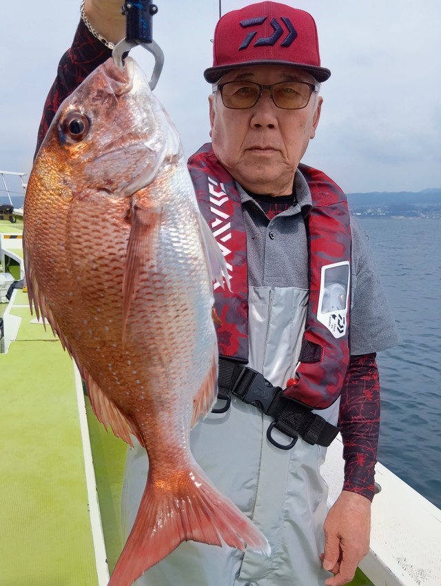 マダイ