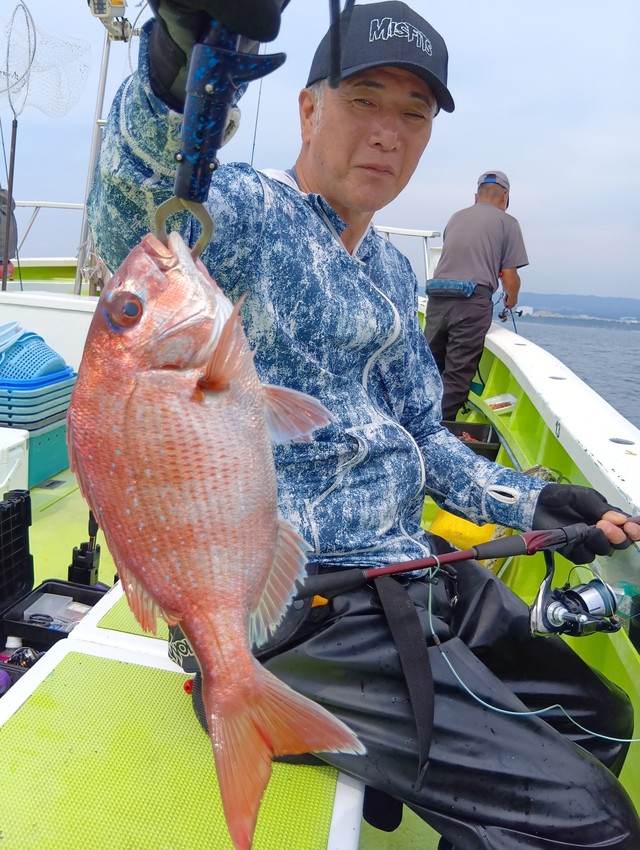マダイ