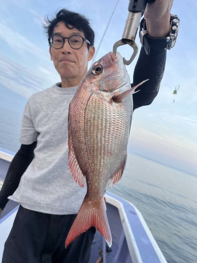 マダイ