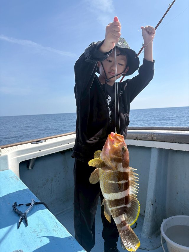 アオハタ