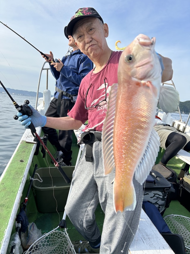 シロアマダイ