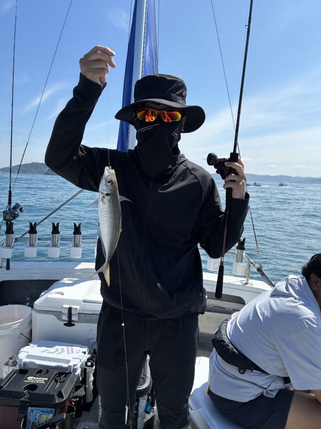 アジ(マアジ)