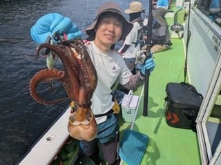 マダコ
