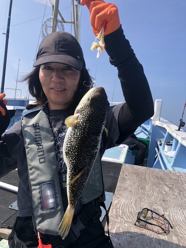 ショウサイフグ