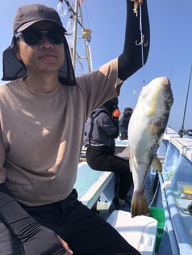ショウサイフグ