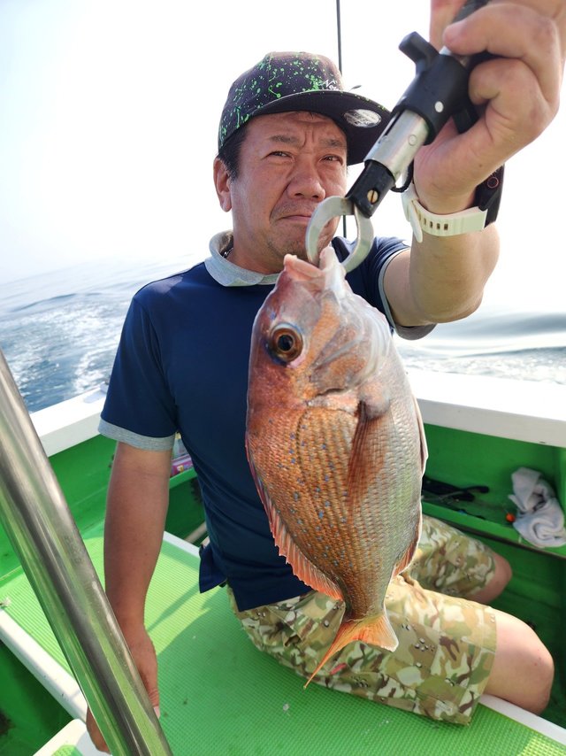 マダイ