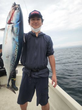 ソウダガツオ(ヒラソウダ)