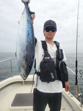 ソウダガツオ(ヒラソウダ)