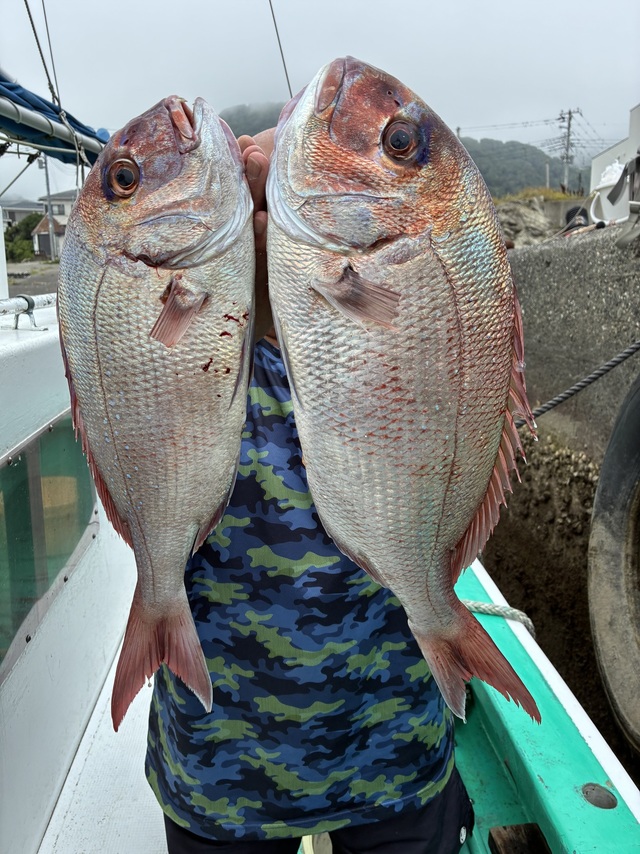 マダイ