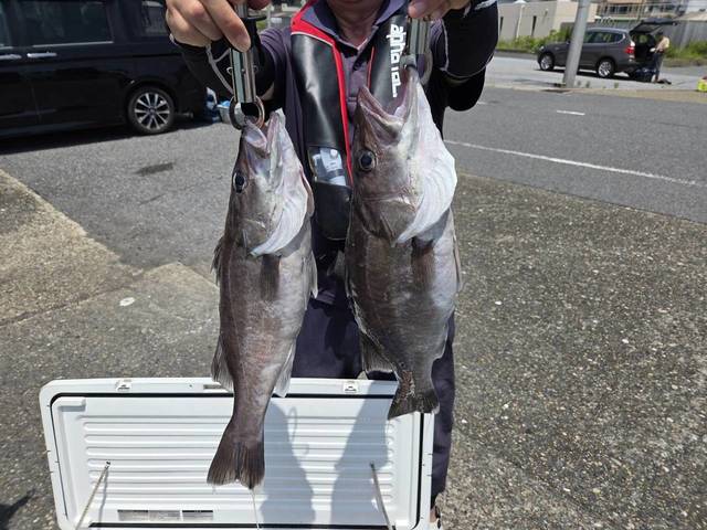 アラ