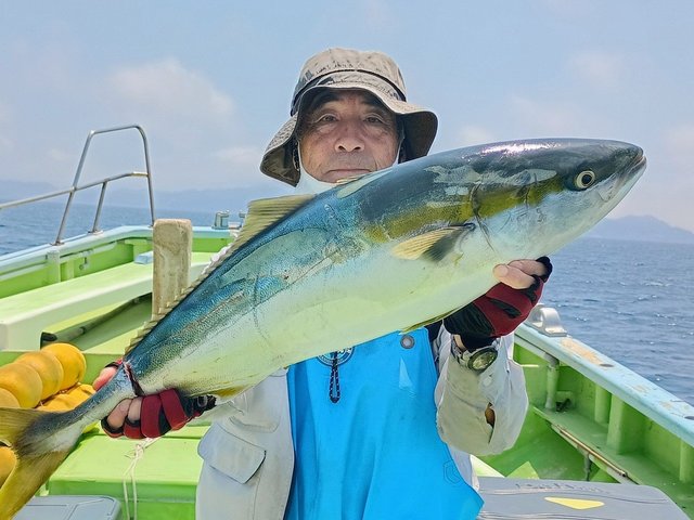 ワラサ(ブリ)