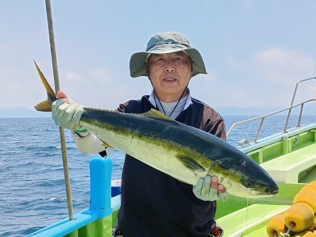 ワラサ(ブリ)