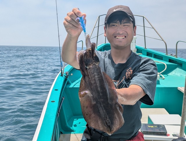 神奈川県で釣れたアオリイカの最新釣果、釣り情報【2026年7月】
