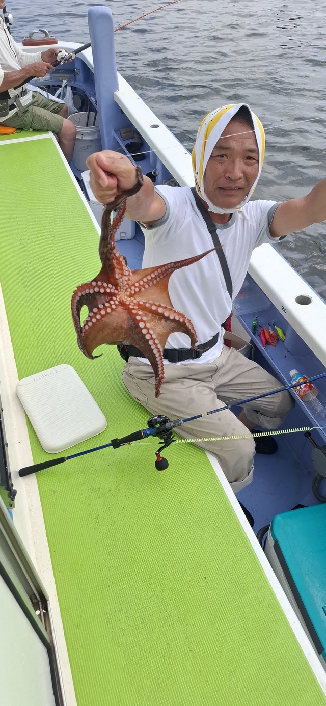 タコ(マダコ)