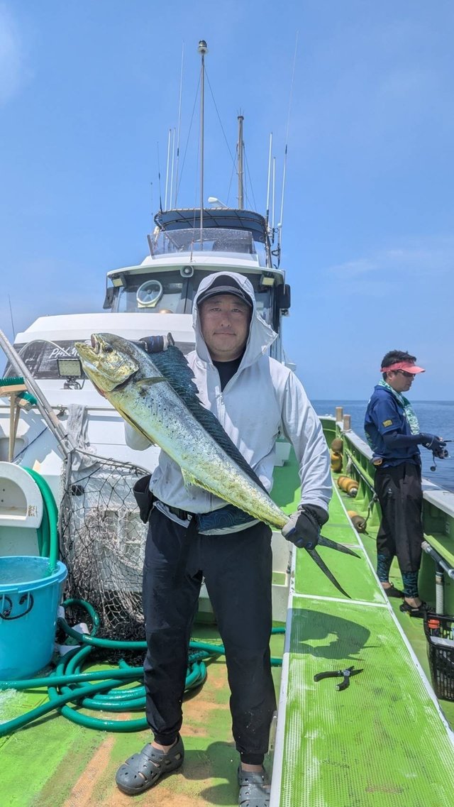 シイラ
