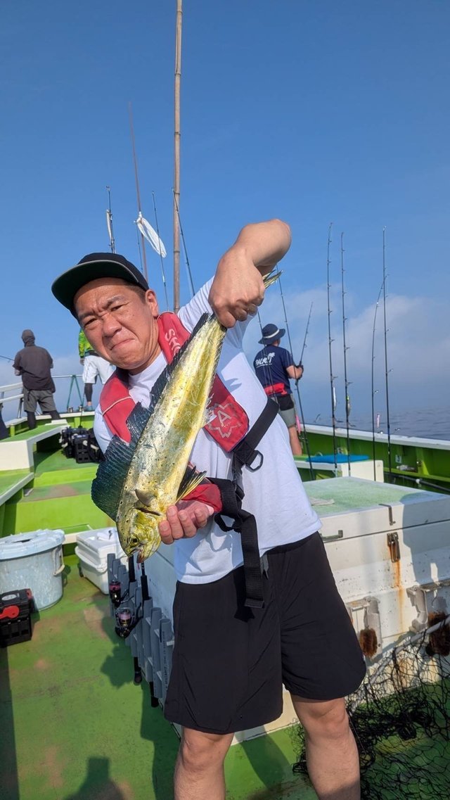 シイラ