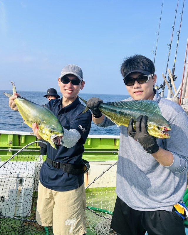 シイラ