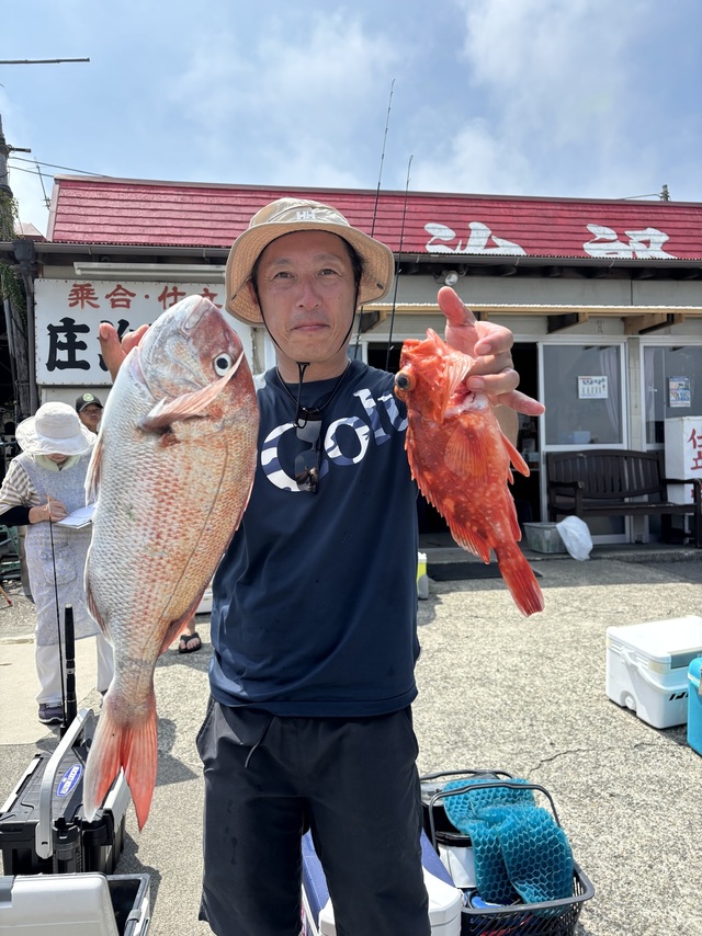 マダイ