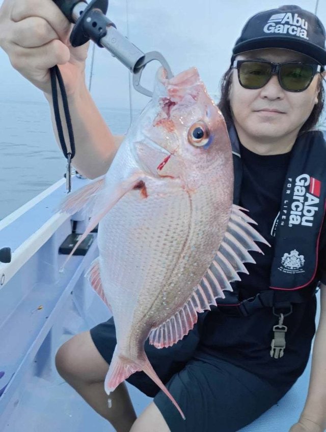 マダイ