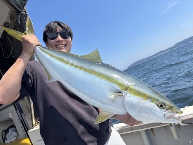 ブリ