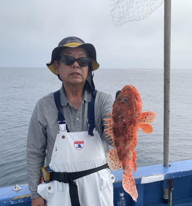 オニカサゴ