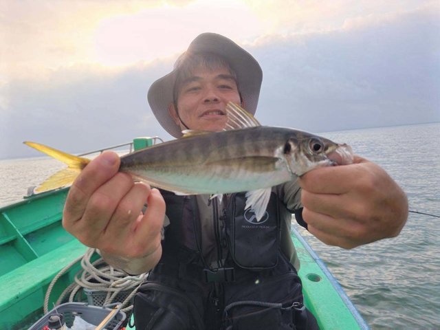 アジ(マアジ)