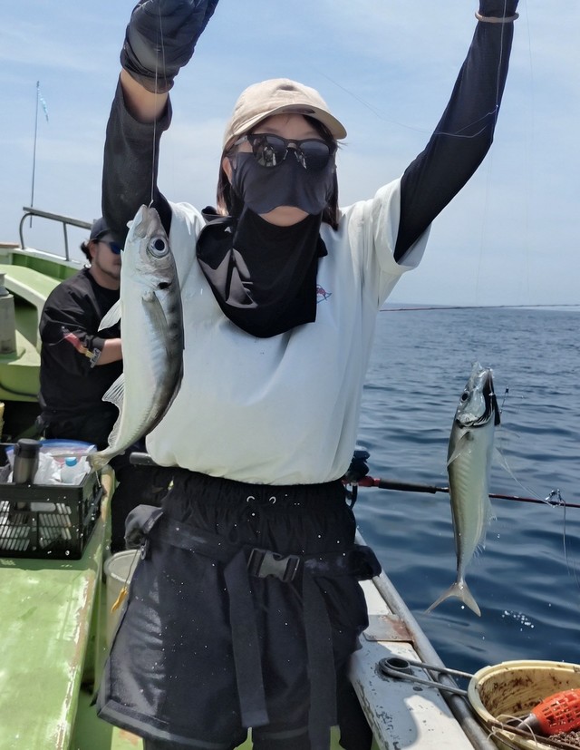 アジ(マアジ)