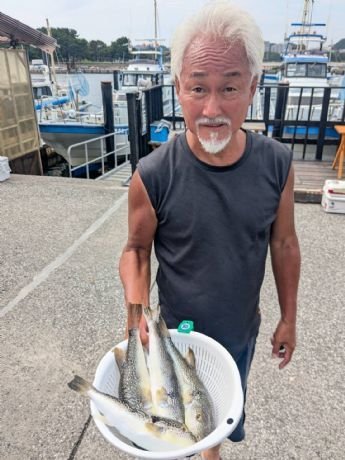 ショウサイフグ