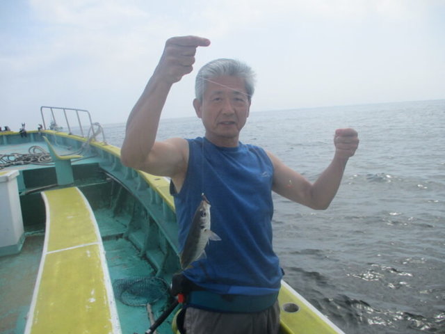 アジ(マアジ)
