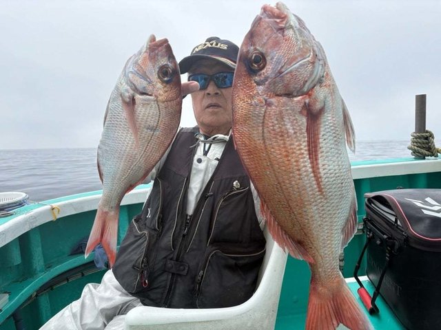 マダイ
