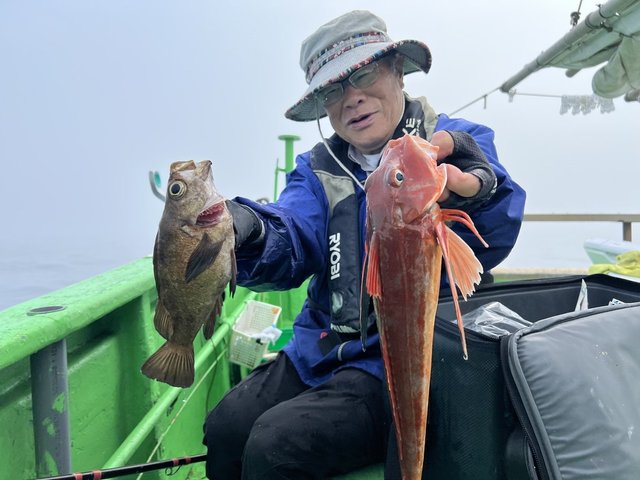メバル