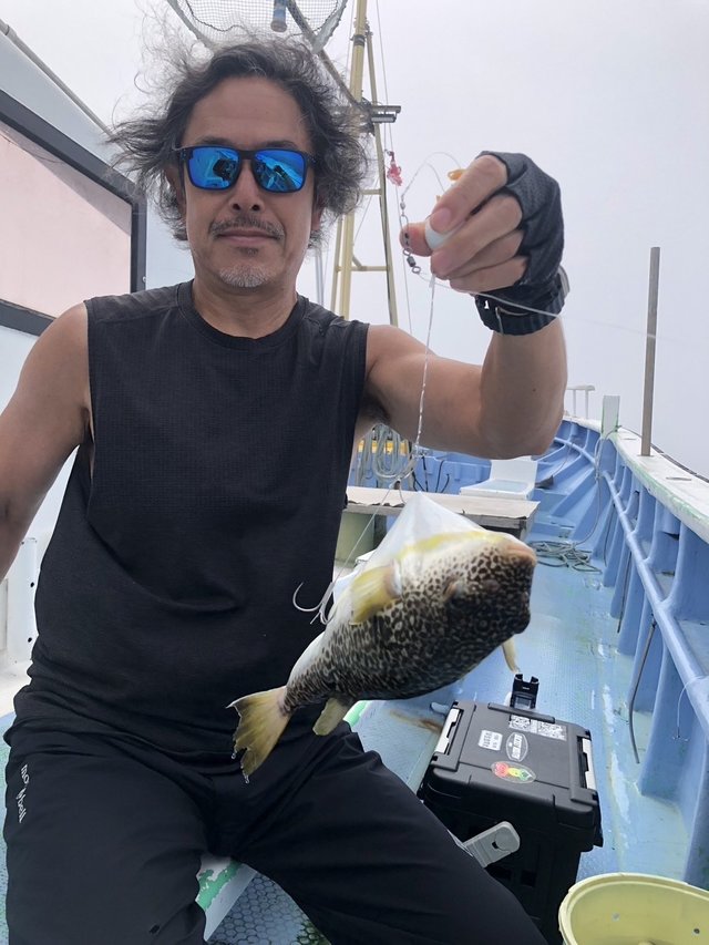 ショウサイフグ