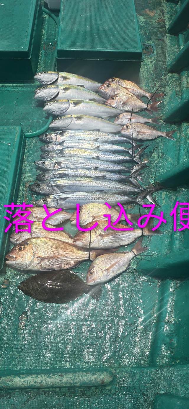 マダイ・ハマチ(ブリ)・サゴシ(サワラ)