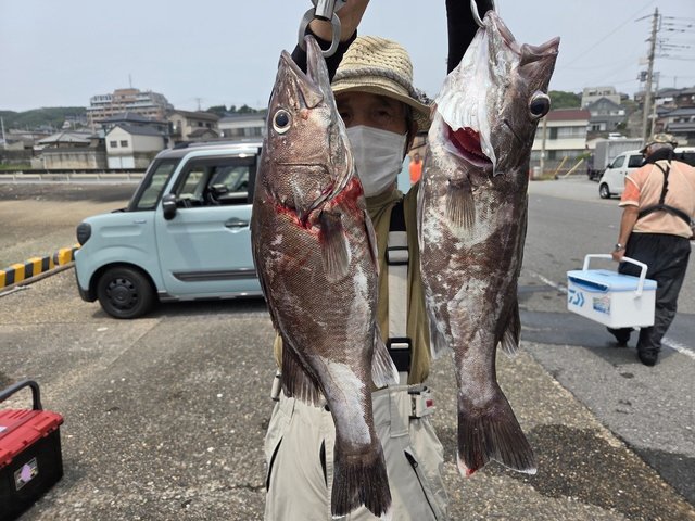 アラ