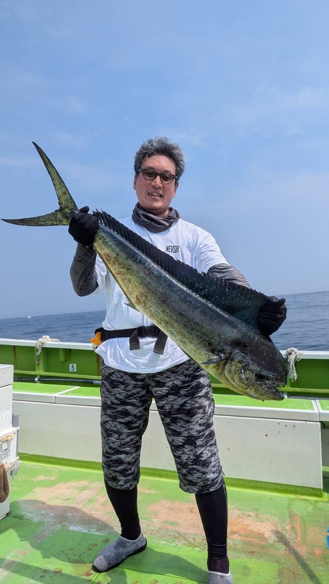シイラ